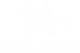 GIGAORNIS
